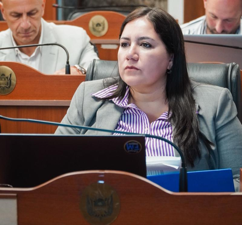 Diputada Silvana Carrizo