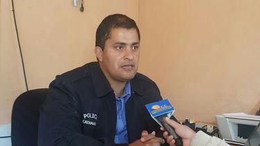 Los dueños de los caballos fueron identificados