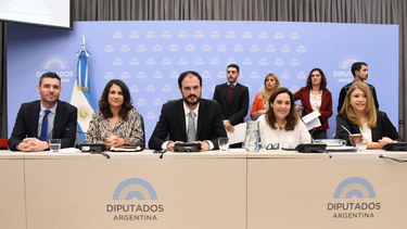 Plenario de tres comisiones para tratar la Ley de Bases en Diputados.