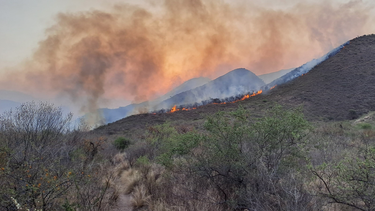 Zozobra. Los incendios forestales generaron un gran despliegue.&nbsp;