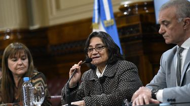 Lucía Corpacci asumió ayer como presidenta de la comisión de Salud de la Cámara de Senadores.&nbsp;