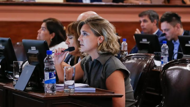 Stefanía Cora, la reemplazante de Edgardo Kueider