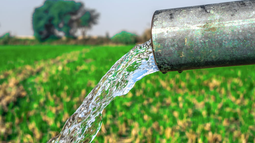 Reducirán los horarios de provisión de agua para riego