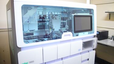 se procesaron las primeras muestras con el nuevo equipamiento de biologia molecular