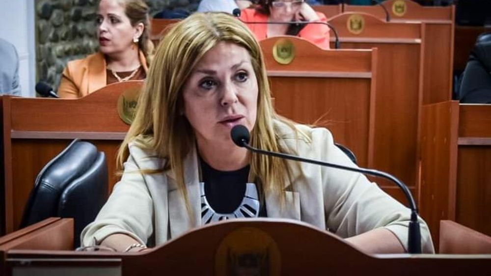 Diputada. VErónica Mercado.
