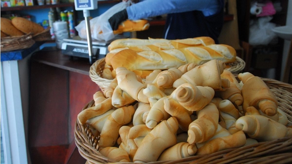 Advierten que podría subir el pan