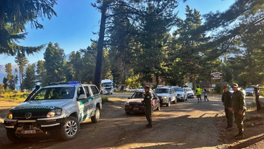 piden declarar la emergencia en la patagonia por los incendios forestales