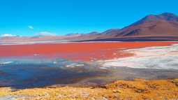 Antofagasta de la Sierra, con ocupación plena para todo el mes de abril