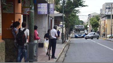 Por cantidad de aportes, piensan crear una SAPEM de transporte