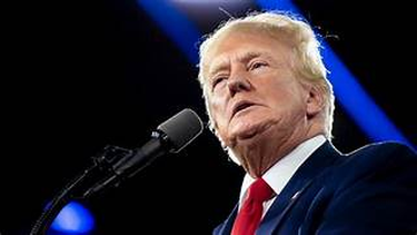 trump contra los inmigrantes: roban perros y se los comen