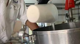 Estudian un respaldo estatal a la COTALI