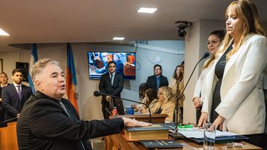 gustavo perez diaz asumio como diputado en reemplazo de adrian brizuela