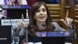 El Senado aprobó los allanamientos a Cristina K