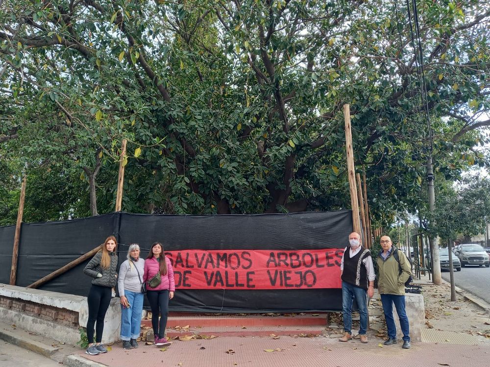 Un grupo de vecinos denunció tala indiscriminada de árboles en diferentes sectores del departamento Valle Viejo.&nbsp;