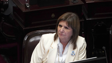 el senado tratara la semana que viene ficha limpia por fuera de la reforma electoral