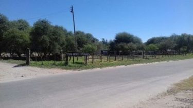 Chocó a un caballo en la ruta y resultó con heridas