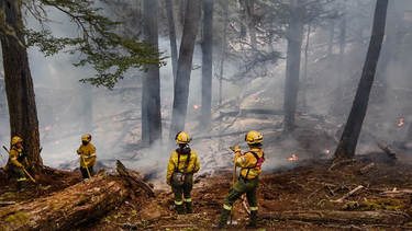 chubut: el fuego ya consumio mas de 2.000 hectareas y el gobernador acuso a la ram