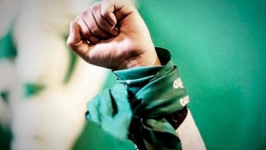 Los principales puntos del proyecto de Ley del Aborto Legal