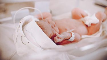 catamarca se situa entre las 9 provincias que disminuyeron la tasa de mortalidad infantil