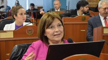pistolas taser: es sumar un elemento de tortura