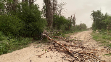 fuerte viento en andalgala provoco la caida de postes