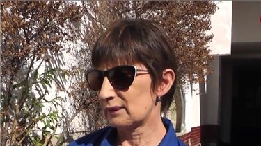 Visñovezky negó recibir denuncias por vales mellizos