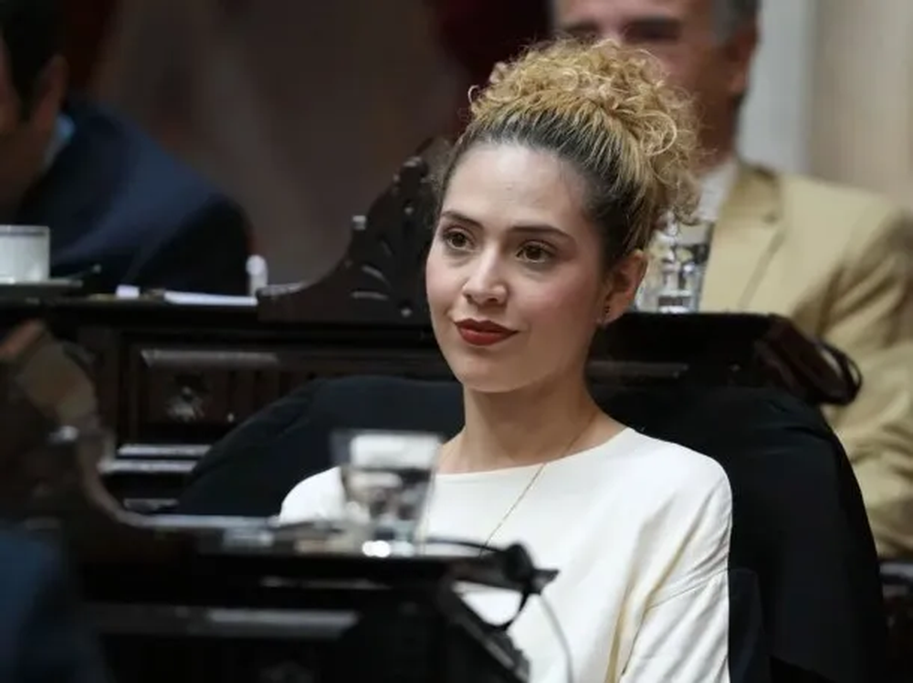 diputada-lourdes-arrieta.webp