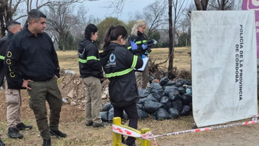 Hallaron restos humanos cerca del Chateau Carreras