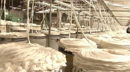 Las Pymes textiles en baja: una fábrica de hilados suspendió a 200 obreros por dos meses Las Pymes textiles en baja: una fábrica de hilados suspendió a 200 obreros por dos meses