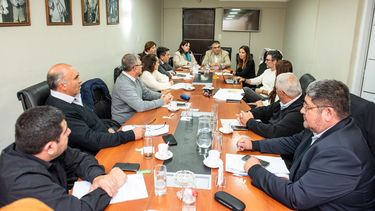 Avanza el tratamiento de la Emergencia económica en la Cámara de Senadores