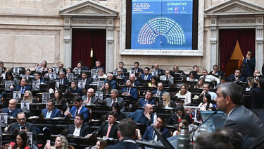 Diputados tratará este miércoles el proyecto de ley de Ficha Limpia