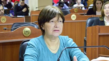 Adriana Díaz: “Rechazamos el intento de bajar la edad de imputabilidad”