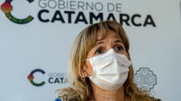 El vector sanitario