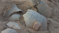 hallaron vasijas prehispanicas de hasta 1.000 anos de antigüedad