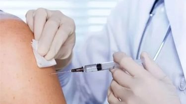 La vacuna contra la fiebre amarilla se aplicará los martes y viernes