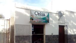 Ingresó a robar en un local, atacó a la dueña y fue reducido por la pareja de la mujer