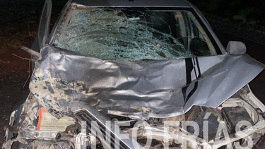 animal suelto provoco un grave siniestro vial cerca de recreo