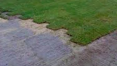 Amordazaron a un sereno y robaron panes de césped sintético