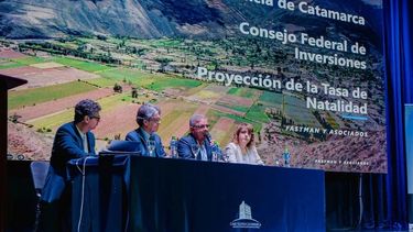 Informe. El Gobierno presentó el año pasado un análisis del CFI sobre la baja de la natalidad en Catamarca.