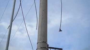 Robaron un transformador que vale más de $30 millones