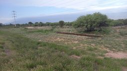 Un fuerte viento volteó siete postes y afectó una línea de media tensión en Capayán Un fuerte viento volteó siete postes y afectó una línea de media tensión en Capayán