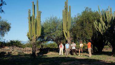 Variada agenda de actividades para la segunda semana de enero