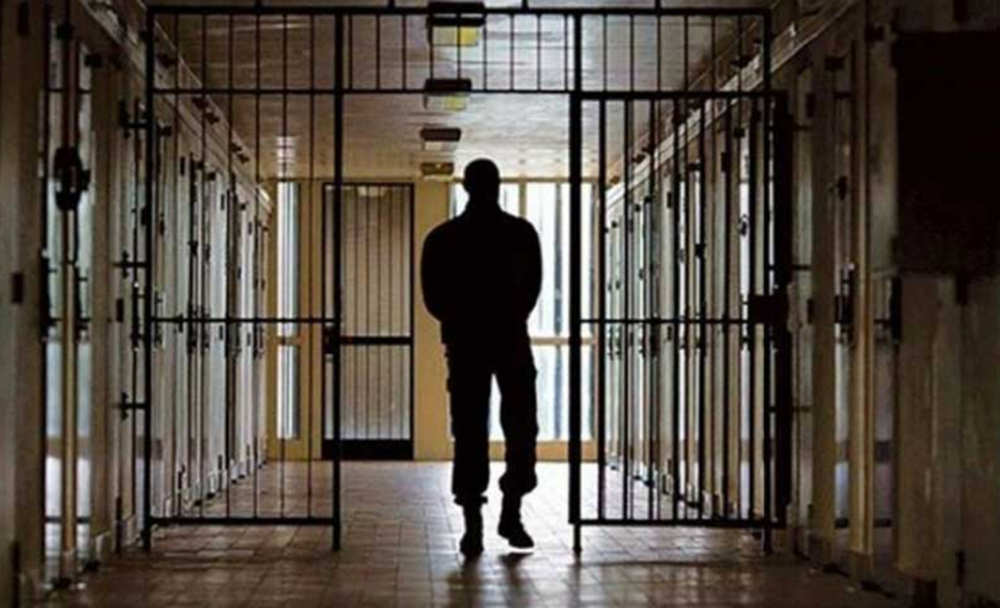 Libre. El acusado podrá esperar el juicio en libertad.
