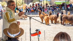 Raúl Jalil participará de la Feria de la Puna Raúl Jalil participará de la Feria de la Puna