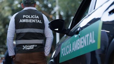 cada vez mas vecinos acuden a la policia ambiental: mas de 500 denuncias en dos meses
