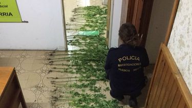 Detienen a un hombre que abusó sexualmente de sus hijas de 2 y 3 años