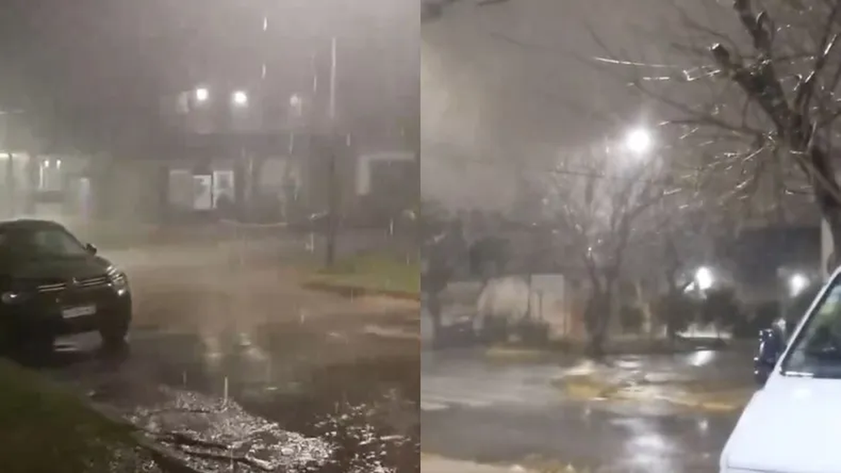 Temporal en el AMBA: lluvias, cortes de luz y árboles caídos en la ...