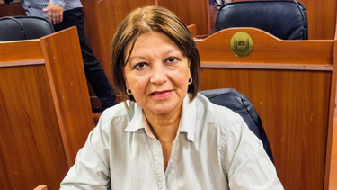Destacan la aprobación del proyecto sobre control de juegos en linea