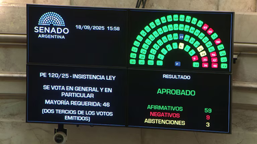 el senado rechazo el veto a la ley de atn para las provincias