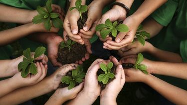 La educación ambiental gana centralidad